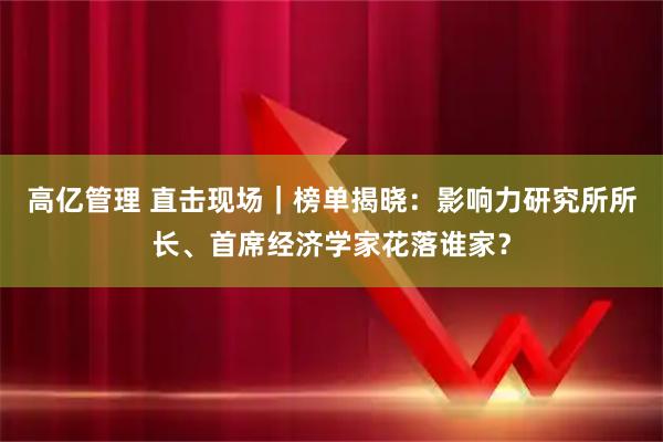 高亿管理 直击现场|榜单揭晓:影响力研究所所长、首席经济学家花落谁家?