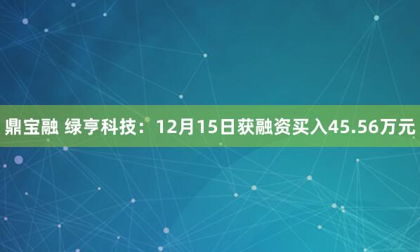 鼎宝融 绿亨科技:12月15日获融资买入45.56万元