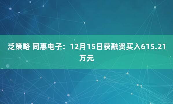 泛策略 同惠电子:12月15日获融资买入615.21万元