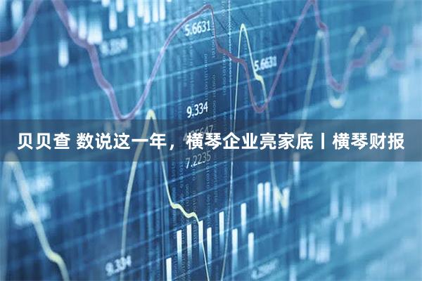 贝贝查 数说这一年,横琴企业亮家底丨横琴财报